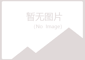 合山山柏化学有限公司